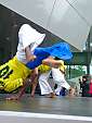 CAPOEIRA DO BRASIL - capoeira