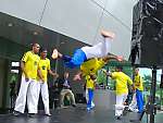 CAPOEIRA DO BRASIL - capoeira