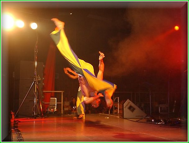 CAPOEIRA DO BRASIL - capoeira